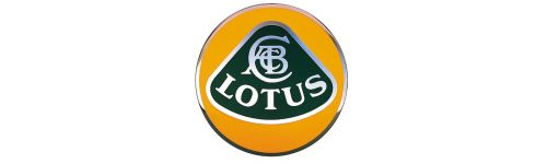 LOTUS - Filtre à air de remplacement