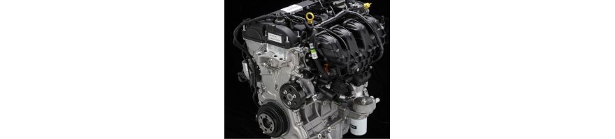 1,6 l 16V - EcoBoost