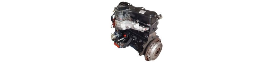 2.0L 8v - Pinto